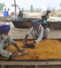 amritsartimes.live